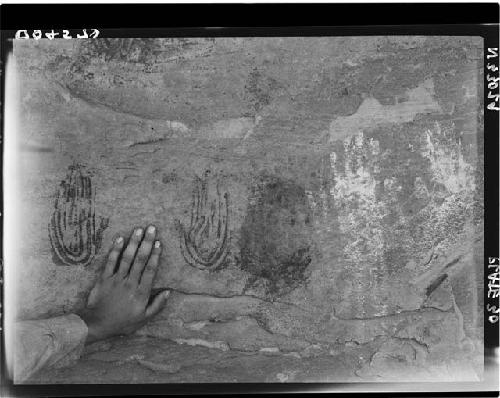 Plate 30; Painted handprints in white, red, and orange. Barrier Canyon.
