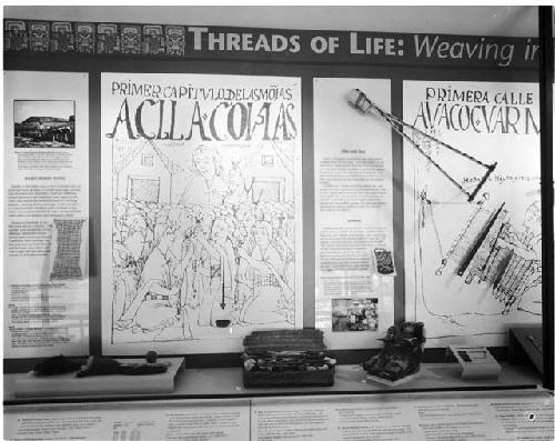 Architectural shots-Exhibit/ Threads of life - Tozzer Library