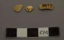Fragments of sea shells