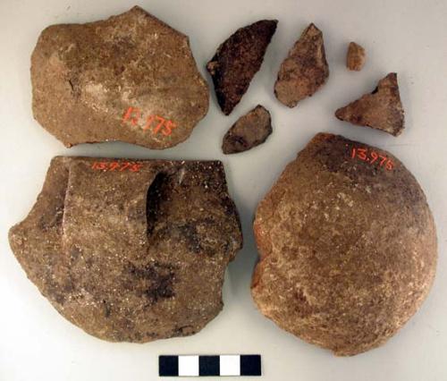 Ceramic sherds