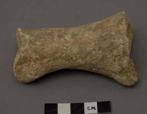 Animal bone (horse) phalanx