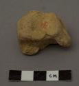 Animal bone (horse) astragal