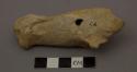 Animal bone, deer calcaneum - perforated