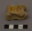 Animal bone, deer astragals