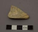 Bone fragment (?) fossilized