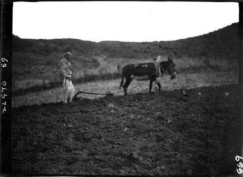 Person plowing field