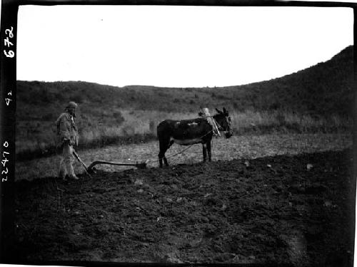 Person plowing field