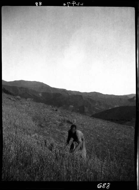 Person working in field