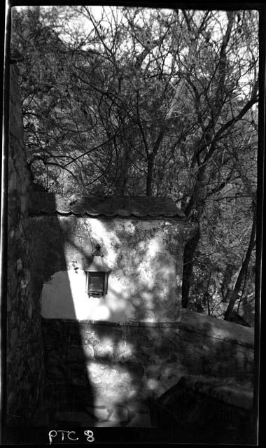 Building and trees