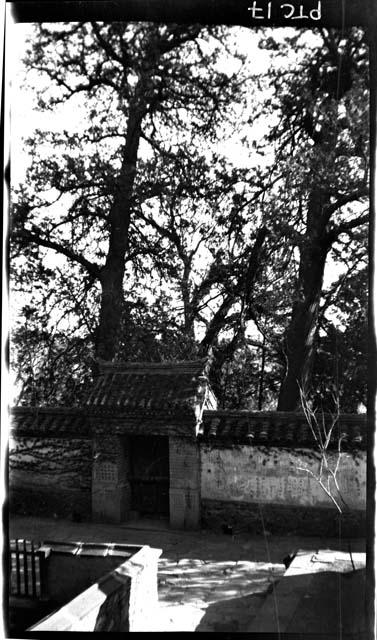 Gateway and trees