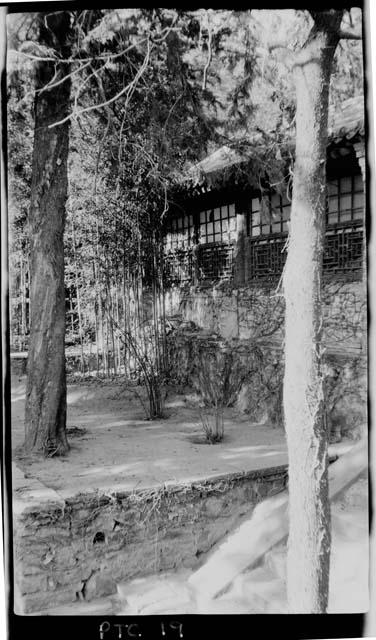 Exterior of building and trees