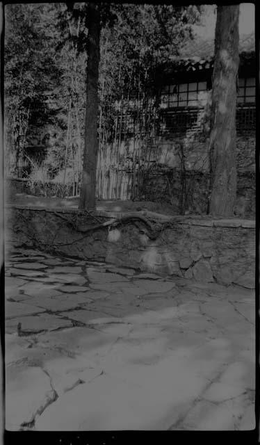 Building, sidewalk, and trees