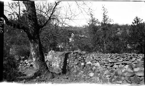 Trees and low wall