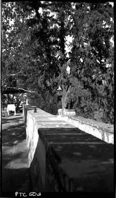 Patio and trees