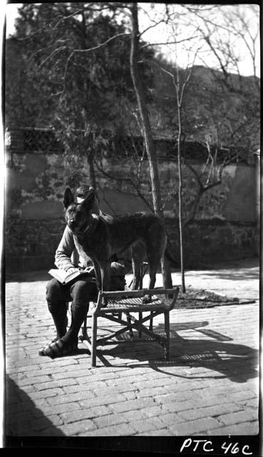 Man sitting on bench on patio, with dog standing on bench