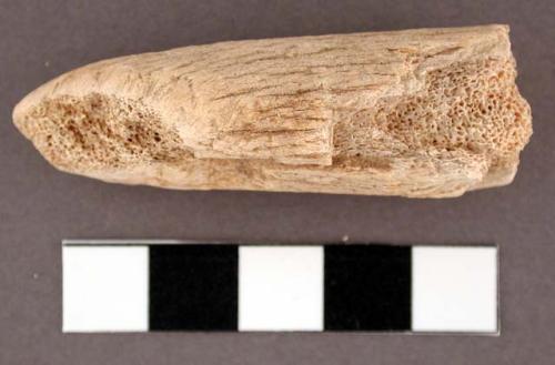 Antler fragment--probably used as flaker. l: 5.5 cm.