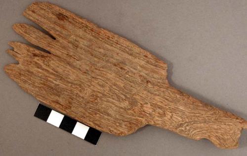 Paddle-shaped tool made of ironwood, edge of paddle irregular--teeth? l: 17.6 c