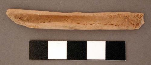 Bone shaft fragment, split lengthwise and polished