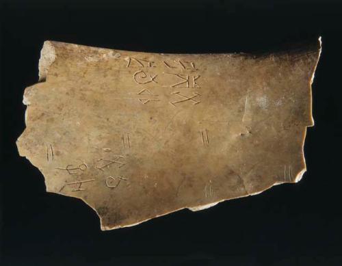 "Oracle bone"- inscribed