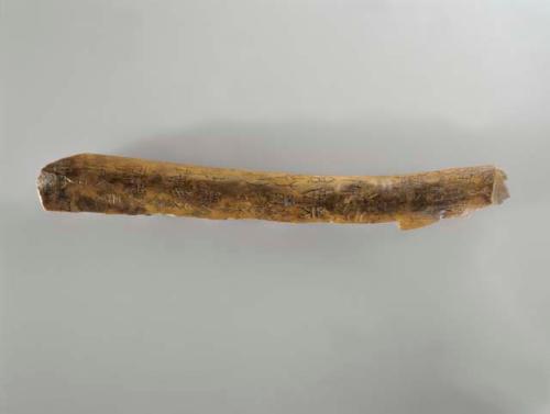 "Oracle bone"- inscribed