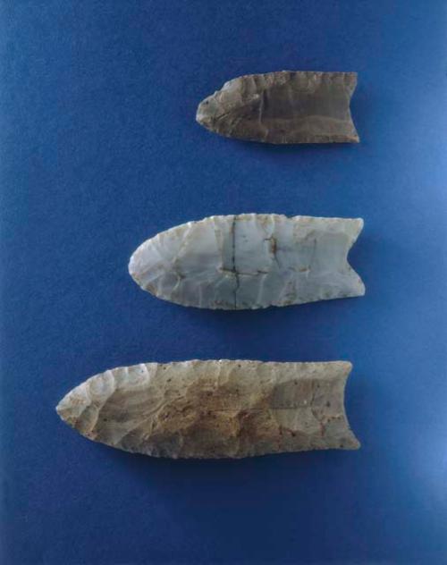 Projectile point, fluted