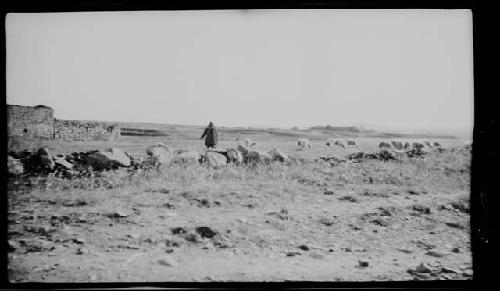 Person walking in field