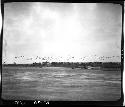 Shoreline and birds, viewed from water