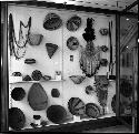 Mono display case. Peabody Museum Cases 100 & 99, Rm 15