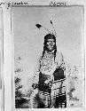 Ka-Ka-Oongie (Sparrow Hawk), Chippewa Chief
