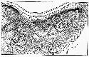 Serpent mound sketch