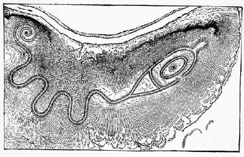 Serpent mound sketch