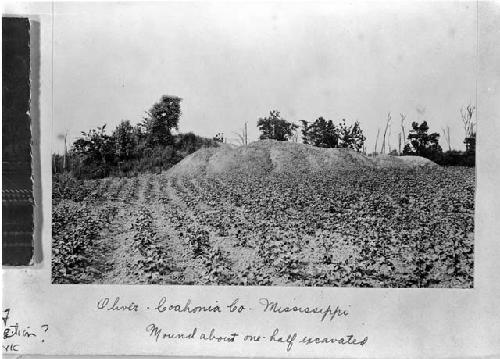 Half-excavated mound in Coahoma County, Mississippi