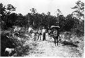 Men with buggy on road