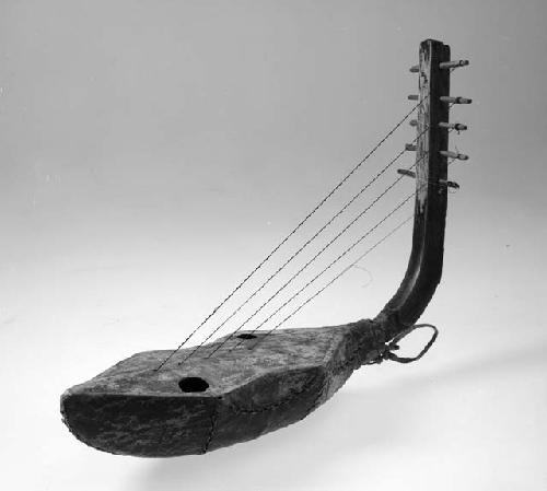 Five-stringed instrument