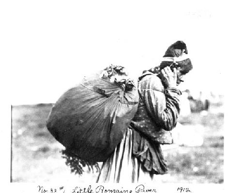 Little Romaine River; 1912. Woman carrying bed boughs