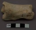 Lower end of big bone with articulating toe bone  - probably bison