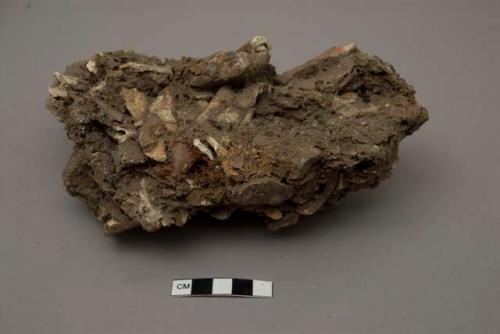 Sample of typical Upper Palaeolithic breccia