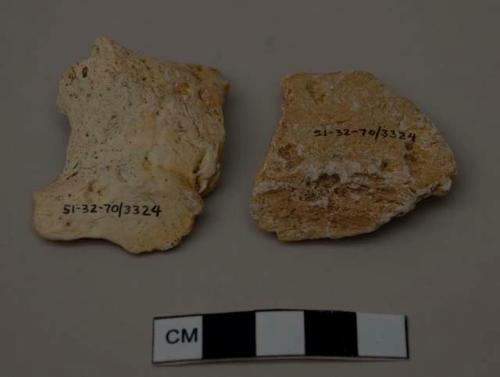 100 fossil bone fragments