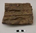 Pieces of petrified wood