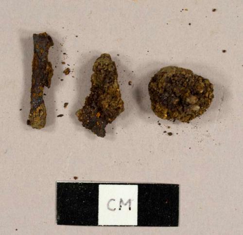 Iron nails, including one possible Rose-head nail