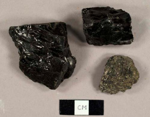 Coal fragments, including some anthracite