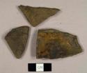 Cambridge mudstone fragments