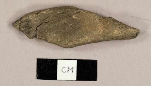 Charred bone fragment