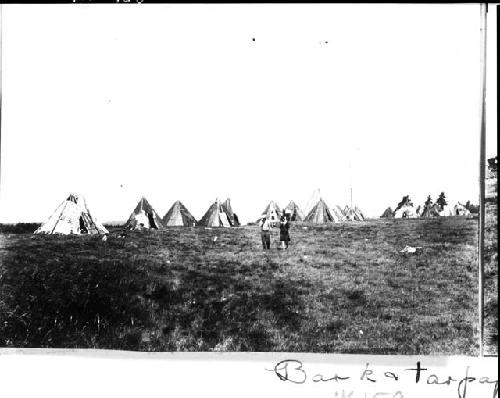 Bark and tar paper wigwams; taken at the Micmac mission on Corpus Christi Day