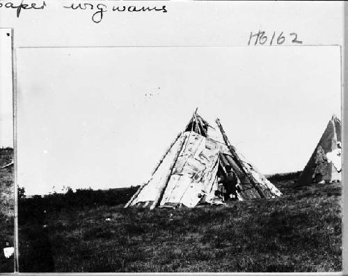 Birch bark wigwam