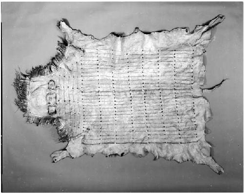 Bison robe ornamented with bird quills (99-12-10/53120)