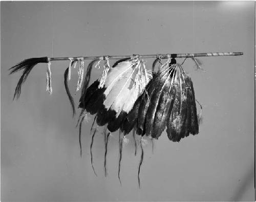 Calumet stem, feather fan (99-12-10/53099.2)