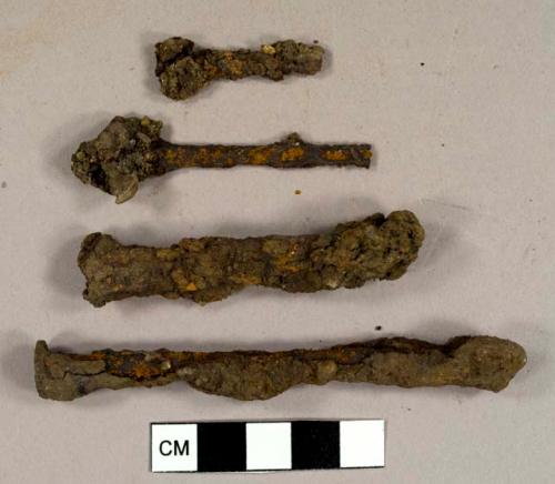 Nails and metal fragments, including at least one wire nail