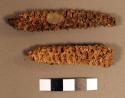 Corn cobs, both with wax fragments attached (for mounting?)