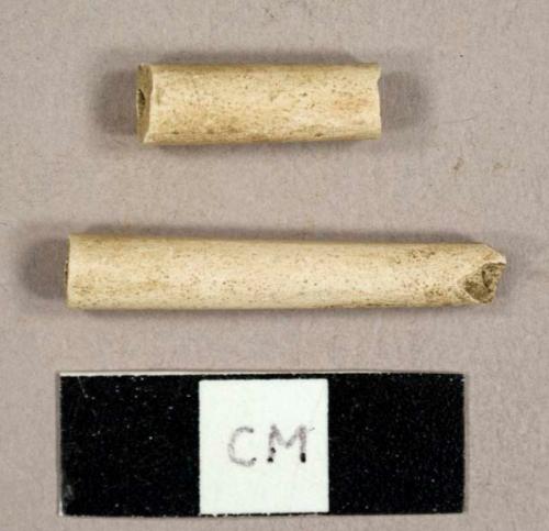 White kaolin pipe stem fragments